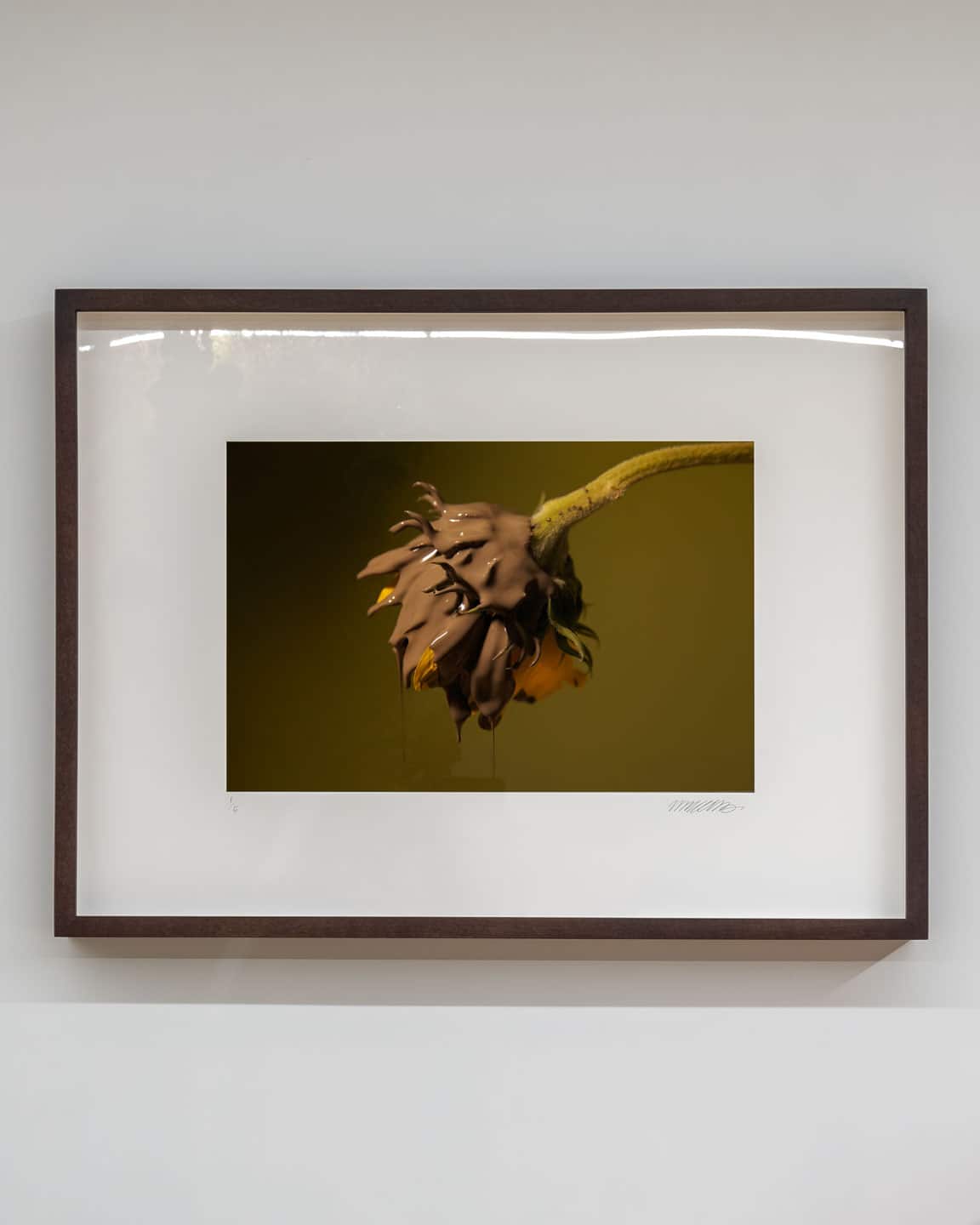 Giving Entry at NAMARA projects